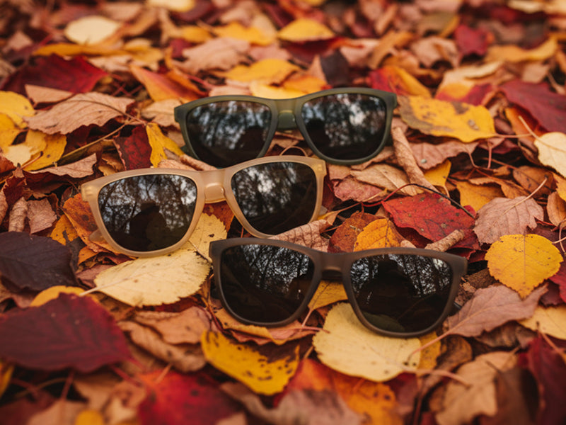 Best Sunglasses For Fall – Detour Sunglasses