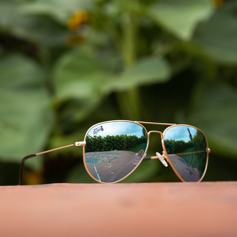 Gold - Sky Blue Lens Polarized - Oasis – Detour Sunglasses display picture 1
